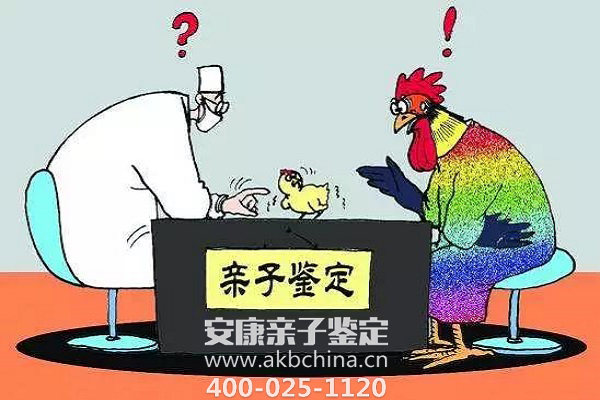外地妈妈想给孩子在上海DNA，怎么办理爸爸是上海人 