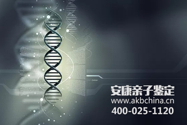 亲子鉴定DNA**研究PCR-STR技术分析 