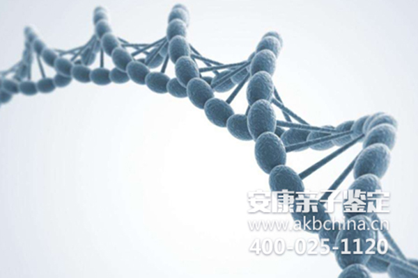 上海亲子鉴定中心引进DNA显微镜（DNA显微镜说明） 