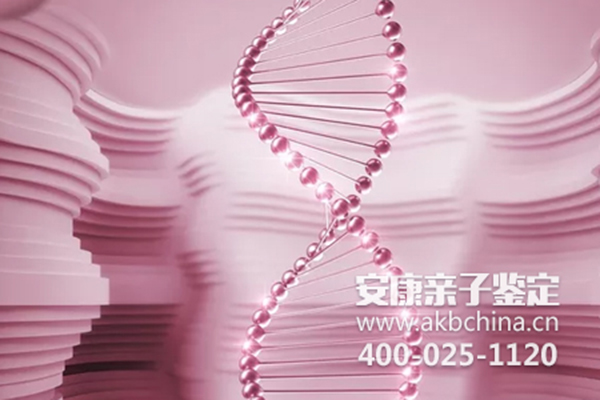 上海安康个人隐私亲子鉴定和DNA鉴定的流程 