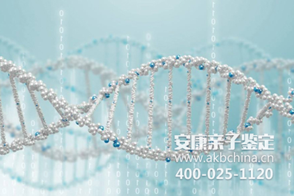 上海DNA检测亲子鉴定关系有哪几种 