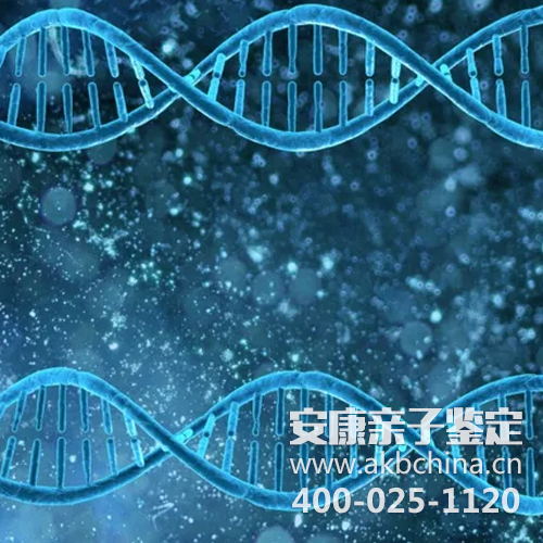 上海DNA亲子鉴定怎么做，DNA程序准确吗？ 