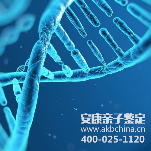 小孩3岁了，上海DNA的亲子鉴定怎么做 