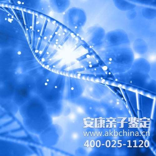 DNA真的做亲子鉴定就可以了吗？上海DNA鉴定 