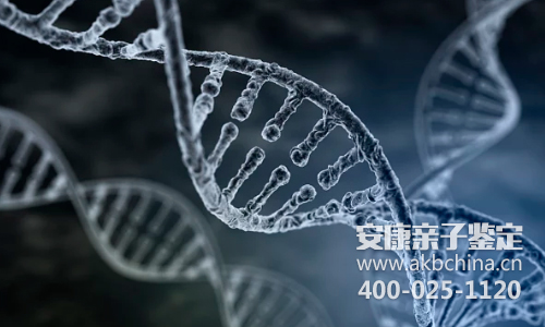DNA鉴定实验检测过程要求，上海dna亲子鉴定 
