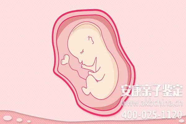 怀孕期间几个月可以做亲子鉴定，怀远县哪里做亲子鉴定 