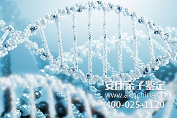 DNA亲子鉴定是通过仪器检测的吗？,DNA亲子鉴定是怎么做的？ 