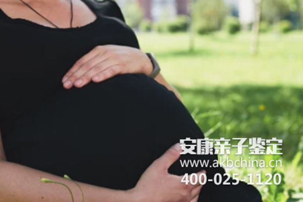 怀孕初期鉴定亲子收费，如何做无创胎儿亲子鉴定 