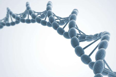 怎样做户籍DNA亲子鉴定，亲子鉴定应该怎么办理 