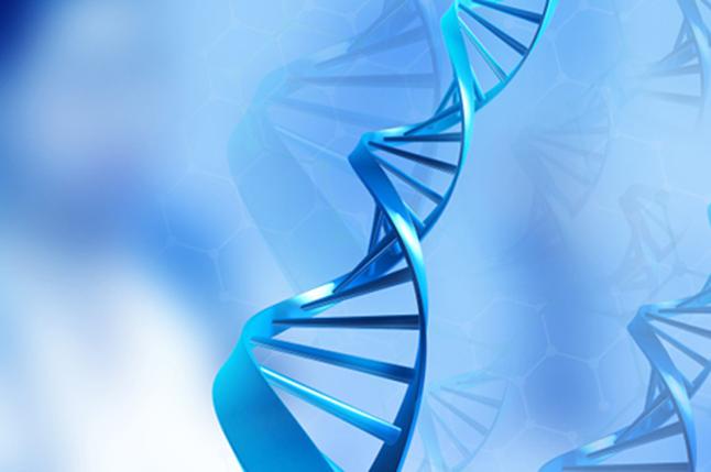 DNA亲子鉴定的安康？DNA亲子鉴定的用途 