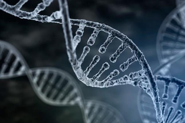 DNA亲子鉴定得要多少钱呢？亲子鉴定需要哪些样本? 