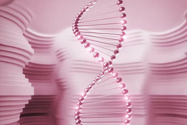安庆DNA亲子鉴定的原理及步骤是什么 