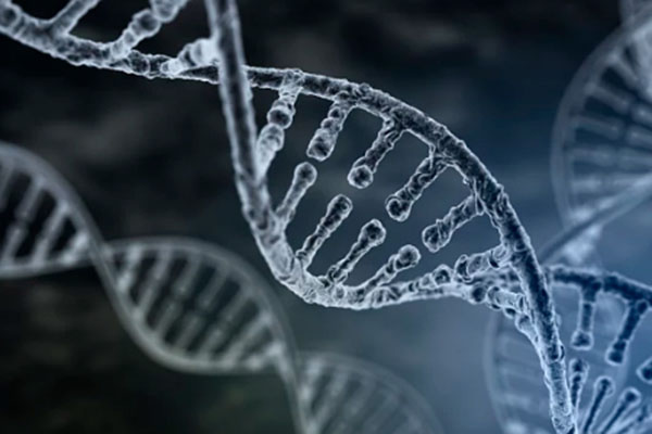 1岁孩子的头发可以做DNA吗？