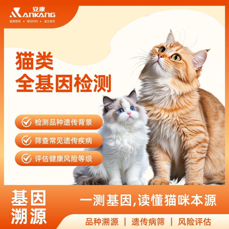 猫类全基因检测