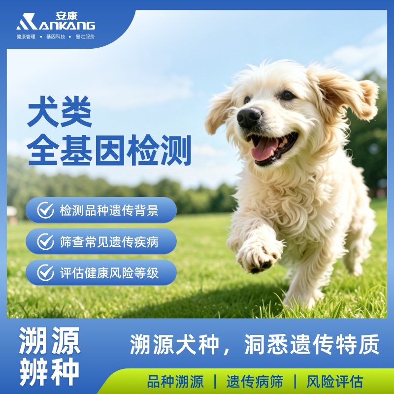 犬类全基因检测