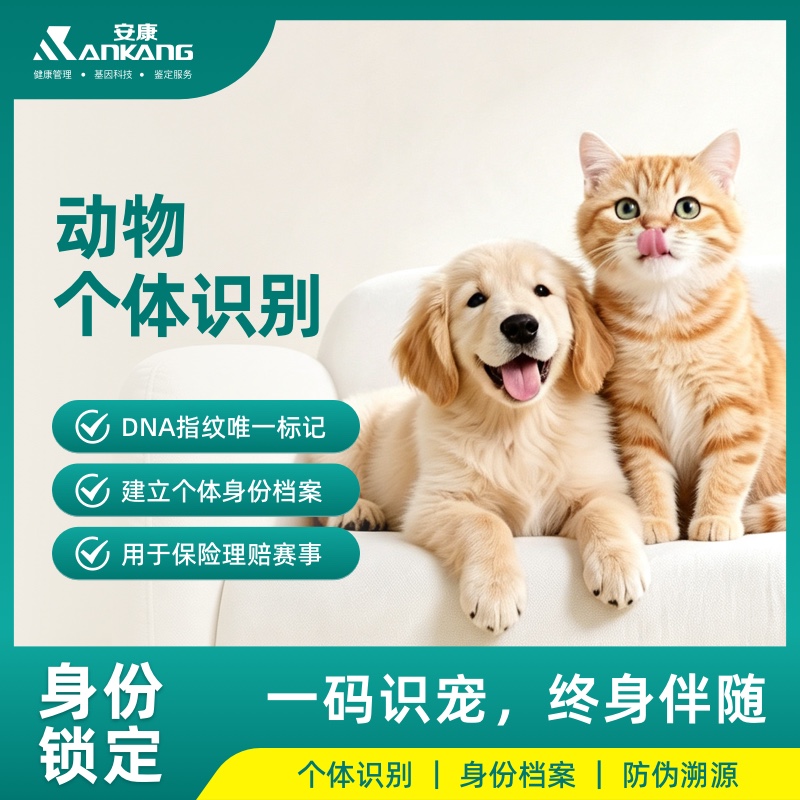 动物个体识别